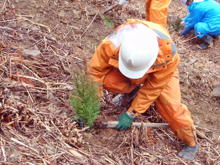 和歌山県の森林組合
